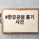 한강공원 흉기 사건 전말과 공공장소 흉기소지죄 처벌 알아보기 한강공원 흉기 사건