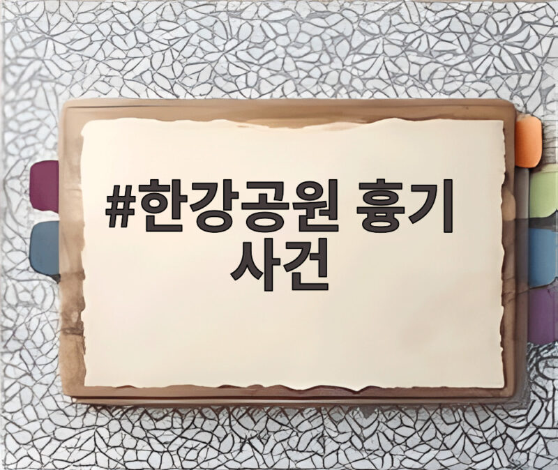 한강공원 흉기 사건 전말과 공공장소 흉기소지죄 처벌 알아보기 1 한강공원 흉기 사건