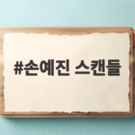 손예진 스캔들 호불호 인터뷰 솔직 고백 공감은 어려워 손예진 스캔들