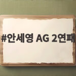 안세영 AG 2연패