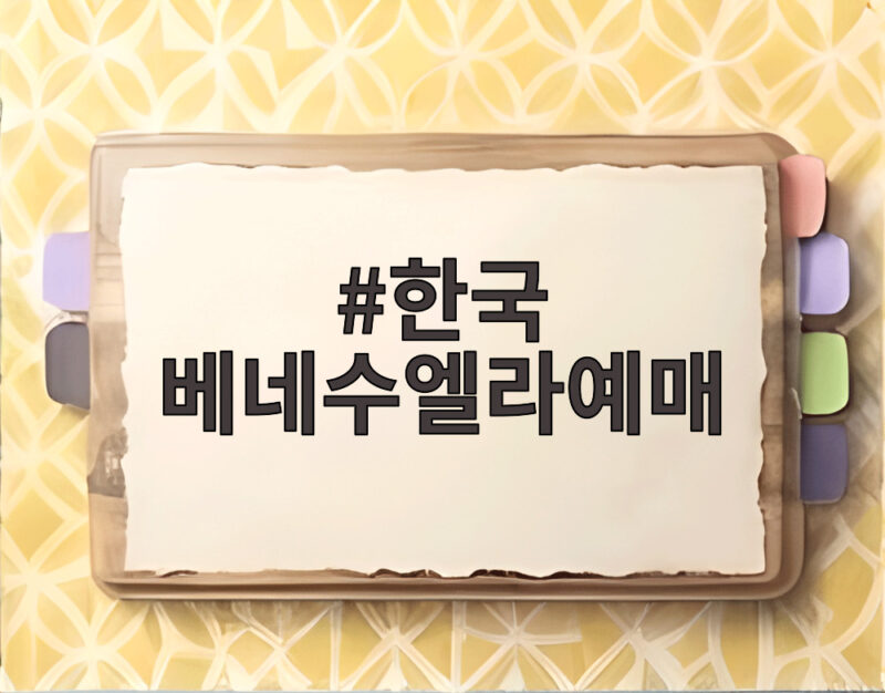 한국 베네수엘라예매 다가올 A매치 티켓 예매 방법과 관람 팁 1 한국 베네수엘라예매