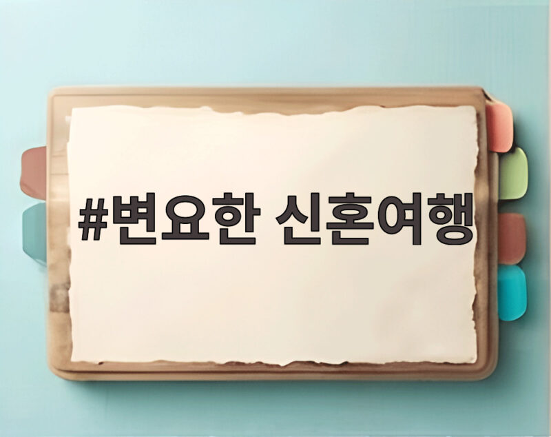 변요한 신혼여행