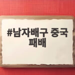 남자배구 중국 패배로 8강서 이란과 격돌 아쉬움 남자배구 중국 패배