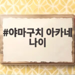 야마구치 아카네 나이 28세, 안세영과의 대결에서 보여준 진짜 가치 야마구치 아카네 나이