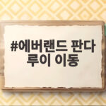 에버랜드 판다 루이 이동 확정, 쌍둥이 루이바오 후이바오 12월 중국으로 에버랜드 판다 루이 이동