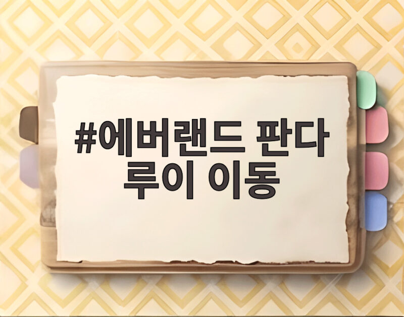 에버랜드 판다 루이 이동 에버랜드 판다 루이 이동