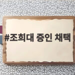 조희대 증인 채택 논란 국감 정면충돌 예고 조희대 증인 채택