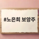 노은희 보앙주