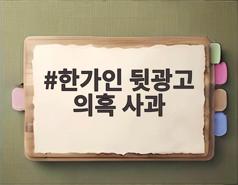 한가인 뒷광고 의혹 사과