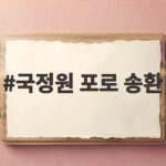 국정원 포로 송환, 비공개 협의와 입국 과정 총정리 국정원 포로 송환