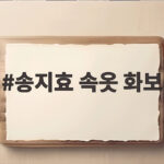송지효 속옷 화보