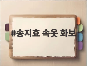 송지효 속옷 화보