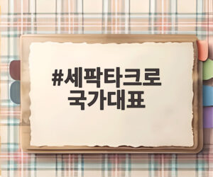 세팍타크로 국가대표
