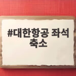 대한항공 좌석 축소 공정위 제재 심의 이행강제금 고발 위기 대한항공 좌석 축소