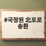 국정원 北포로 송환