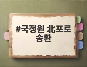 국정원 北포로 송환