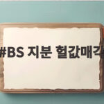 BS 지분 헐값매각으로 총수2세 370억 배당 논란 BS 지분 헐값매각