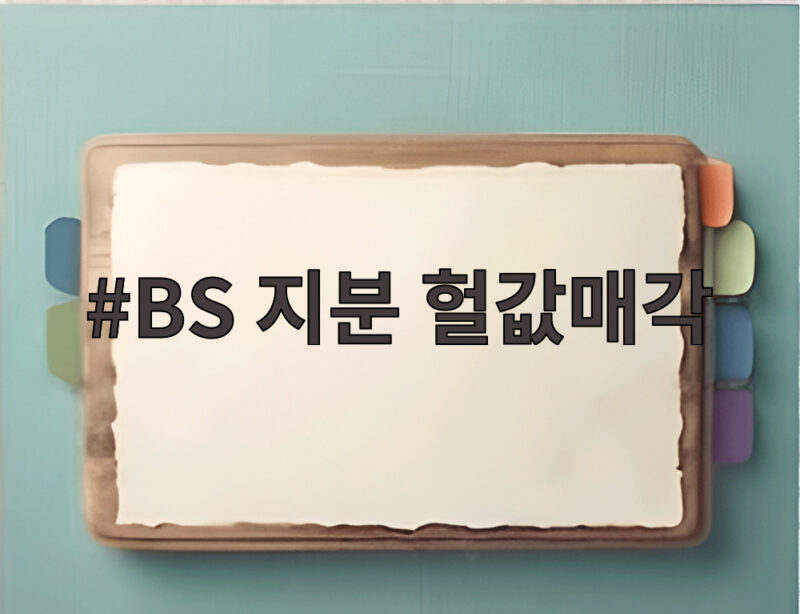BS 지분 헐값매각