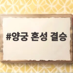 양궁 혼성 결승