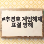 추경호 계엄해제 표결 방해