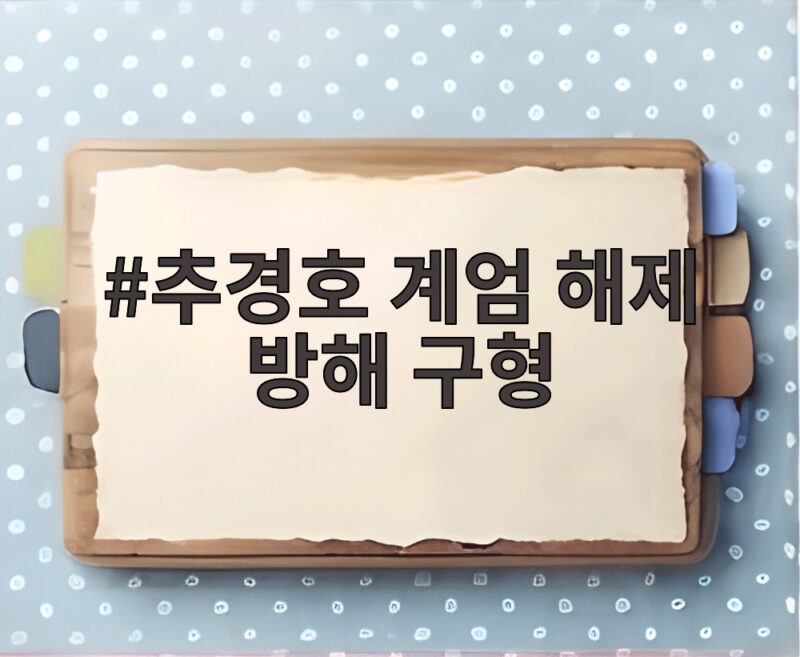 추경호 계엄 해제 방해 구형