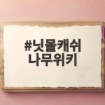 닛몰캐쉬 나무위키