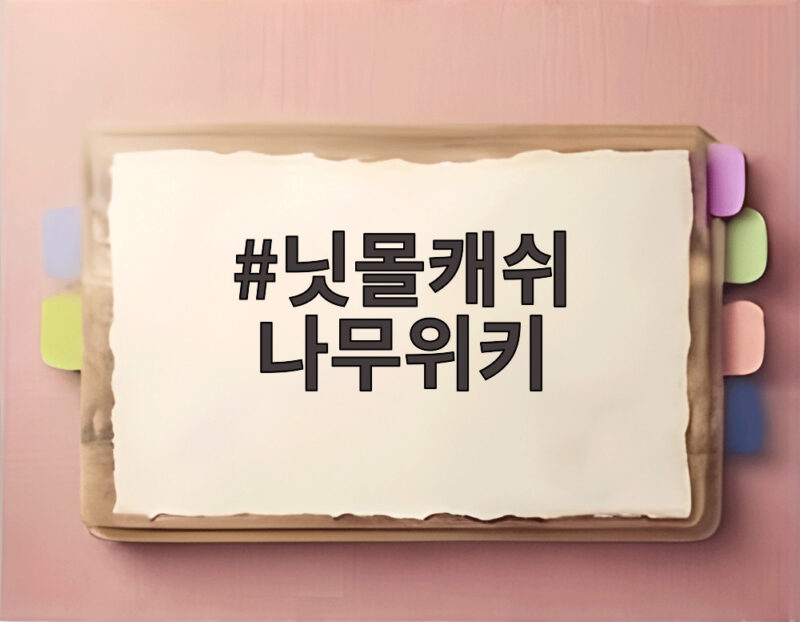 닛몰캐쉬 나무위키 전 연인 폭로로 활동 중단 진실은 1 닛몰캐쉬 나무위키
