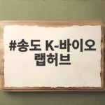 송도 K-바이오 랩허브 드디어 첫 삽 60개 스타트업 보금자리 송도 K-바이오 랩허브