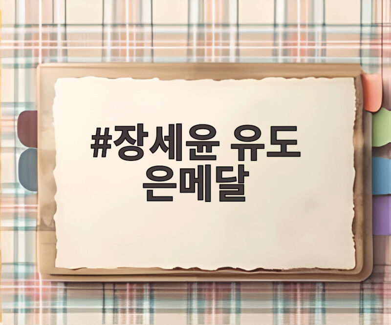 장세윤 유도 은메달