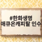 한화생명 애큐온캐피탈 인수, 종합금융그룹 도약의 신호탄 한화생명 애큐온캐피탈 인수