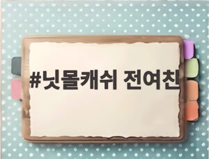 닛몰캐쉬 전여친