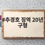 추경호 징역 20년 구형