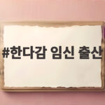 한다감 임신 출산 앞두고 토로한 속앓이와 만삭 화보 한다감 임신 출산