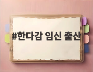 한다감 임신 출산