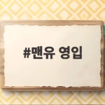 맨유 영입 소식 총정리 레앙 부진부터 브로비 영입까지 맨유 영입