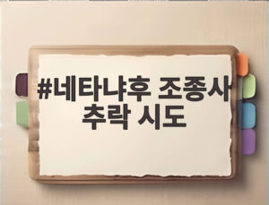 네타냐후 조종사 추락 시도