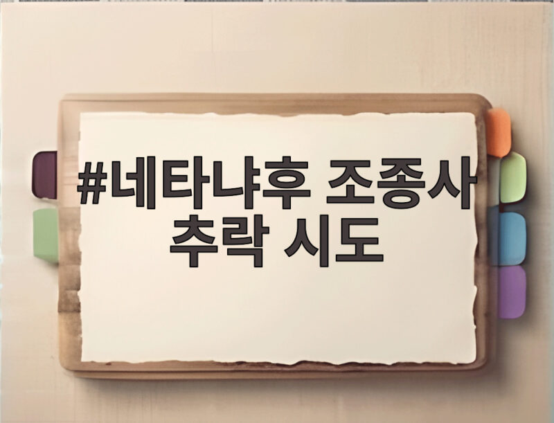 네타냐후 조종사 추락 시도 테러 사건의 전말 1 네타냐후 조종사 추락 시도