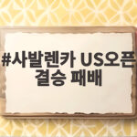 사발렌카 US오픈 결승 패배 3연패 도전 마지막 벽은 자신과 싸움 사발렌카 US오픈 결승 패배