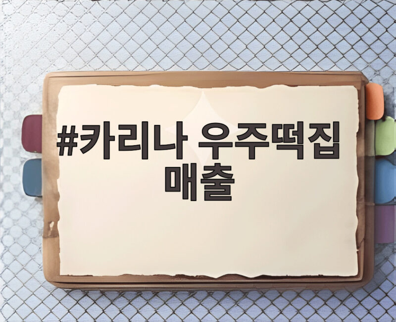 카리나 우주떡집 매출