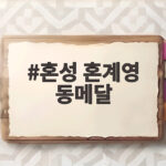 혼성 혼계영 동메달 한국 수영 새 역사를 쓰다 혼성 혼계영 동메달