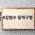 김범수 징역구형