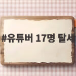 억대 수익 탈세 유튜버 17명 적발 추징세액 239억의 전말 유튜버 17명 탈세