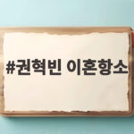 권혁빈 이혼항소