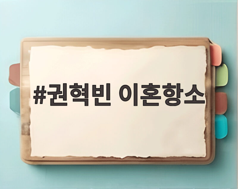 권혁빈 이혼항소