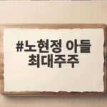 노현정 아들 최대주주 19세 정창건 HNIX 지분 39 인수 배경은 노현정 아들 최대주주