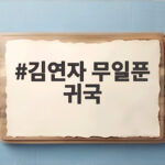 김연자 무일푼 귀국 일본 천억 수입 관리 못한 이유와 아모르 파티 역주행 비화 김연자 무일푼 귀국