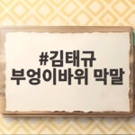 김태규 부엉이바위 막말 국감 발언권 정지와 제명 압박까지 이어졌다 김태규 부엉이바위 막말