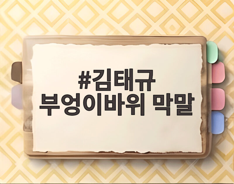 김태규 부엉이바위 막말