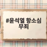 윤석열 항소심 무죄 왜 1심 판결이 뒤집혔을까 윤석열 항소심 무죄