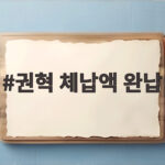 권혁 체납액 완납 15년 만에 3938억 원 낸다 권혁 체납액 완납